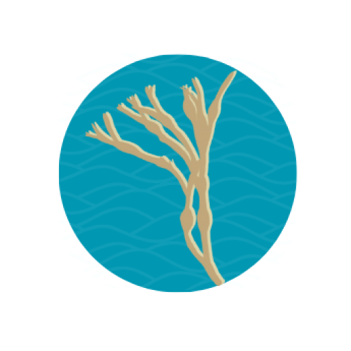 Hebridean Coastal Stories